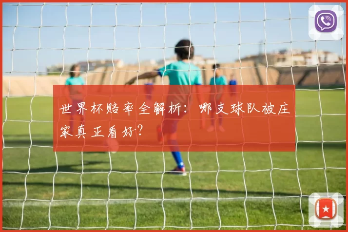 世界杯赔率全解析:哪支球队被庄家真正看好?