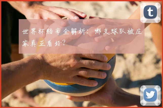 世界杯赔率全解析：哪支球队被庄家真正看好？
