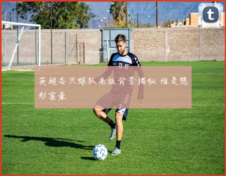 英超各只球队老板背景揭秘 谁是隐形富豪