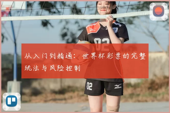 从入门到精通：世界杯彩票的完整玩法与风险控制