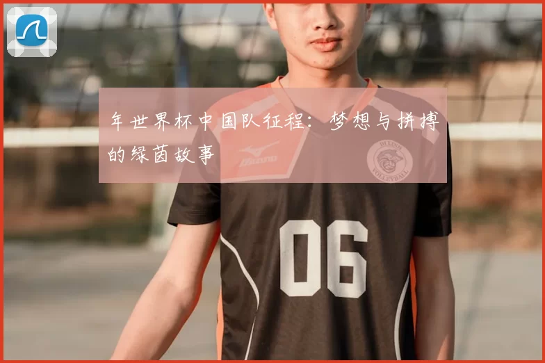 年世界杯中国队征程:梦想与拼搏的绿茵故事