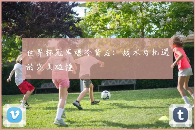 世界杯冠军爆冷背后:战术与机遇的完美碰撞