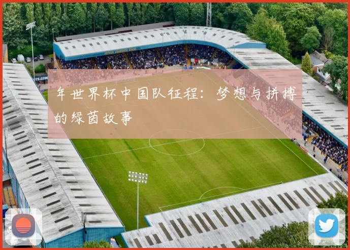 年世界杯中国队征程:梦想与拼搏的绿茵故事