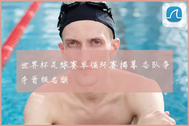 世界杯足球赛单循环赛揭幕 各队争夺晋级名额