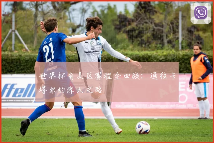 世界杯南美区赛程全回顾:通往卡塔尔的烽火之路