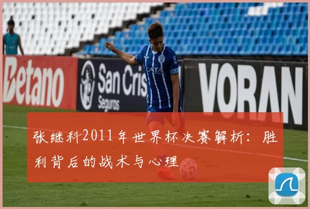 张继科2011年世界杯决赛解析:胜利背后的战术与心理