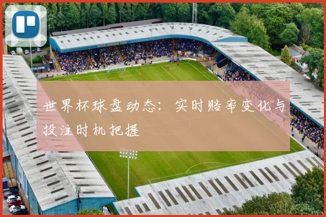 世界杯球盘动态:实时赔率变化与投注时机把握