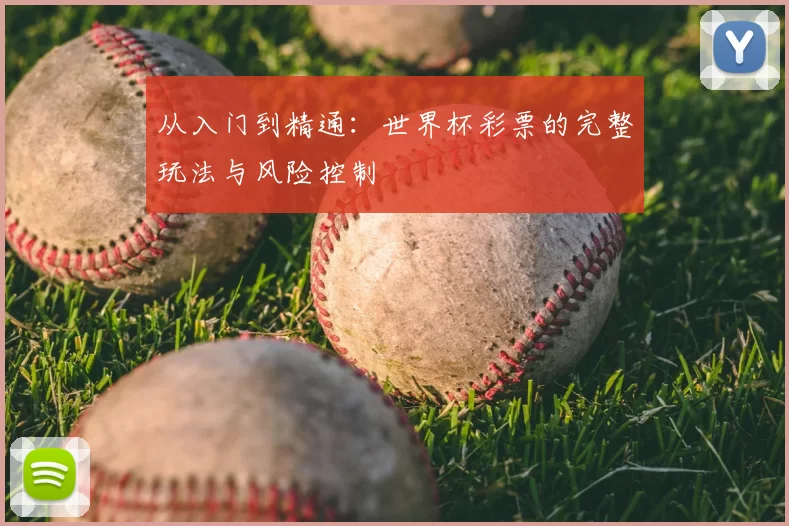 从入门到精通:世界杯彩票的完整玩法与风险控制