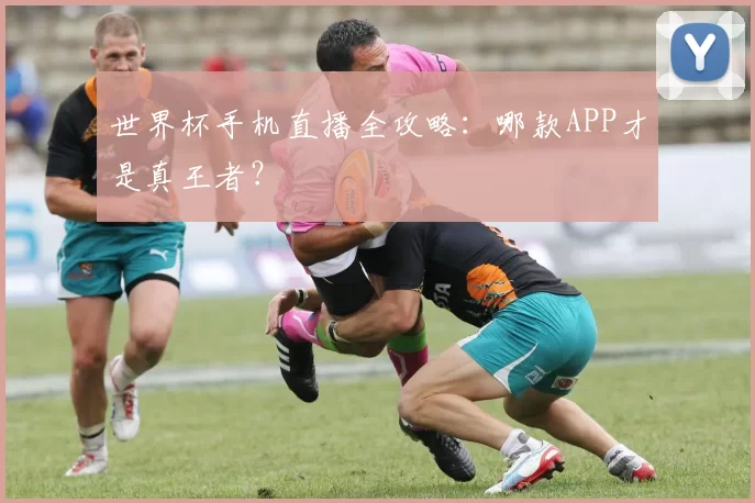 世界杯手机直播全攻略:哪款APP才是真王者?