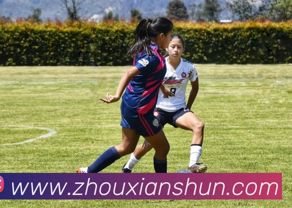 星空体育平台生态图