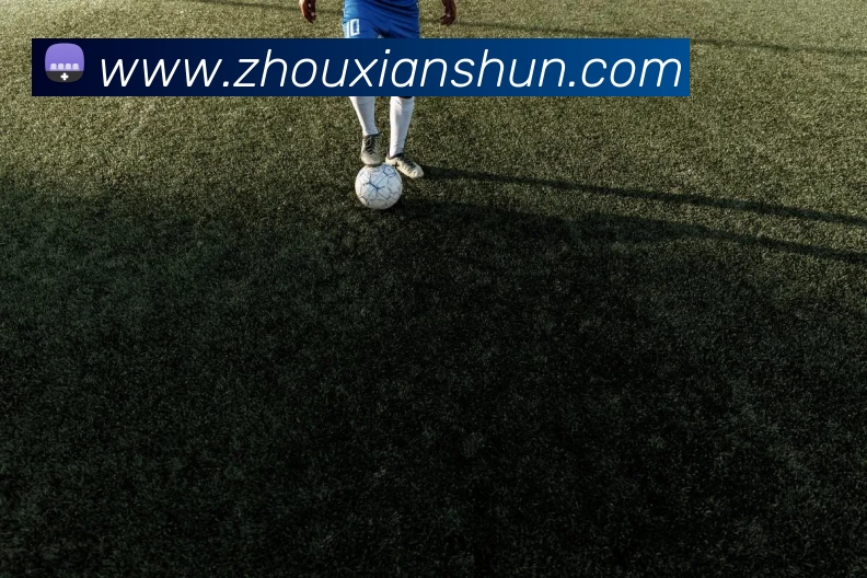 星空体育APP 封面图